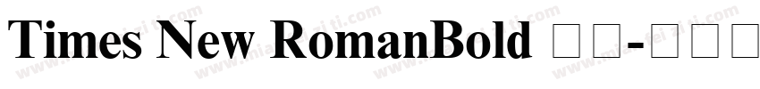Times New RomanBold 粗体字体转换
